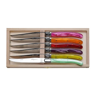 6 Steak Knives with Multi-Color Handles in a Clasp Box