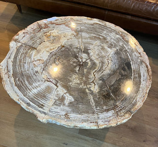Petrified Wood Coffee Table Homegoods - Picayune Cellars & Mercantile