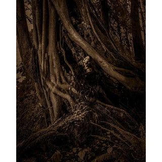 Zoë Urness Photograph "Zoë & Violet" Artwork - Picayune Cellars & Mercantile