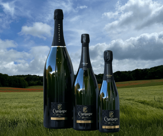 French Champagne - Picayune Cellars & Mercantile