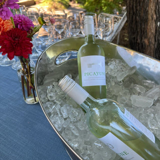 2024 Sauvignon Blanc Summer Case Special - Picayune Cellars & Mercantile