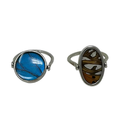 Butterfly Metamorphosis Rings