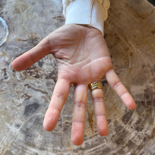 Dina Huntinghorse Gold, Coral & Diamond Ring