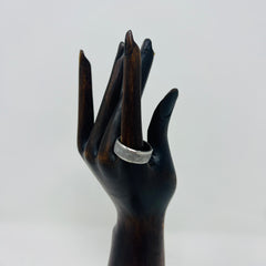 Meteorite Band Ring with Steel