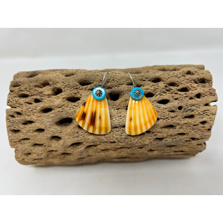 Shell Earrings