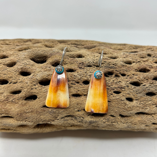 Shell Earrings