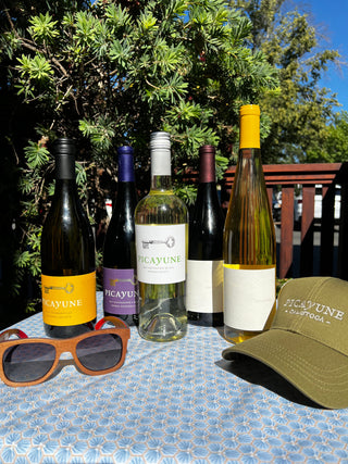 Summer Case Special-Picayune Cellars & Mercantile-Picayune Cellars & Mercantile