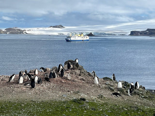 Antarctica 2026 Presentation - Picayune Cellars & Mercantile