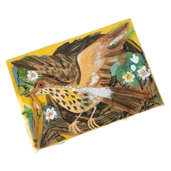 Bird's Nest Card