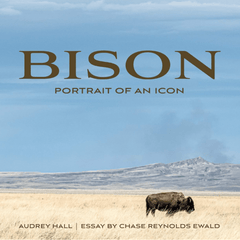 Bison: Portrait of an Icon Book