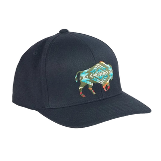 Pendleton Embroidered Hat