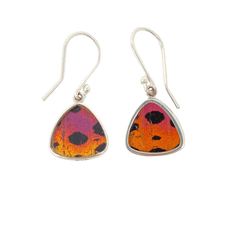 Butterfly Earrings Extra Small Earrings - Picayune Cellars & Mercantile