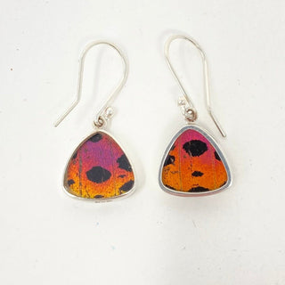 Butterfly Earrings Extra Small Earrings - Picayune Cellars & Mercantile