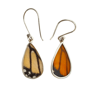 Butterfly Earrings Small Earrings - Picayune Cellars & Mercantile