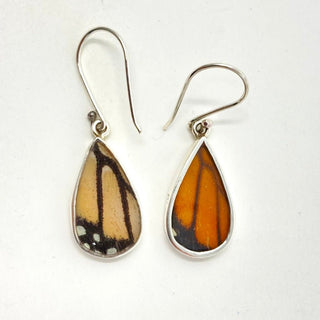 Butterfly Earrings Small Earrings - Picayune Cellars & Mercantile