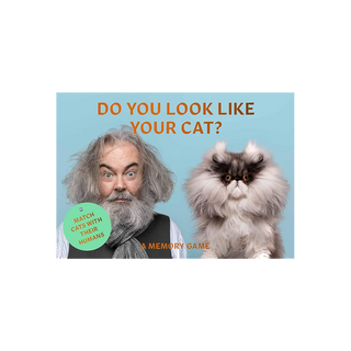 Do You Look Like Your Cat? A Matching Memory Game