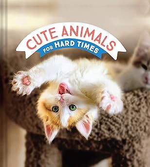 Cute Animals for Hard Times Books - Picayune Cellars & Mercantile