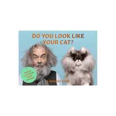 Do You Look Like Your Cat? A Matching Memory Game