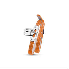 Guiot de Bourg Mini Charm