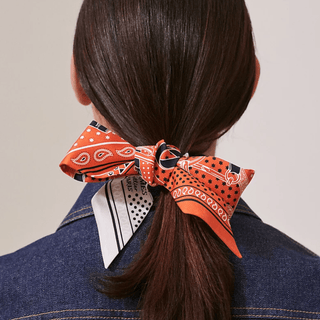 Hermès Twilly Eperon d'Or Bandana Scarves - Picayune Cellars & Mercantile