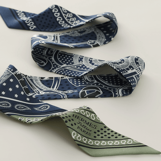 Hermès Twilly Eperon d'Or Bandana Scarves - Picayune Cellars & Mercantile