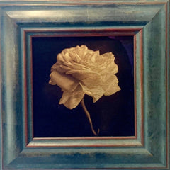 Kate Breakey Glass Print with Gold Leaf - Rose
