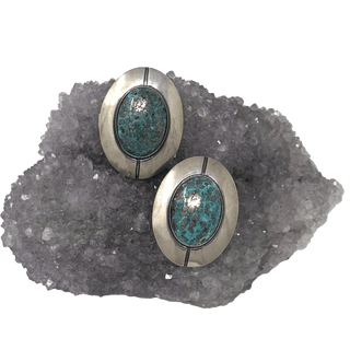 Large Turquoise Oval Disk Earrings Earrings - Picayune Cellars & Mercantile