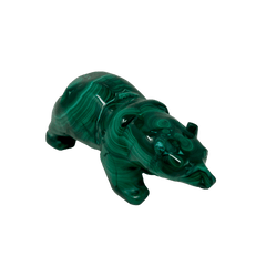 Malachite Bear