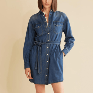 Pendleton Button Front Chambray Dress Women's Apparel - Picayune Cellars & Mercantile