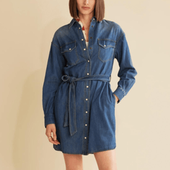Pendleton Button Front Chambray Dress