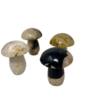 Petrified Wood Mushrooms Homegoods - Picayune Cellars & Mercantile