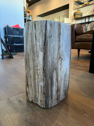 Petrified Wood Stool Homegoods - Picayune Cellars & Mercantile