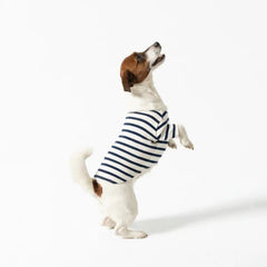 Saint James Toutounière Nautical Dog Shirt