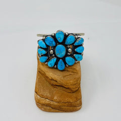Sonoran Desert Turquoise Bracelet